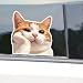 OTGETN 2Pack Cute Orange Cat Daydreaming Vinyl Decal 4.72"x4.72", Adorable Feline Sticker for Car, Window, Laptop, Outdoor&Indoor Use, Waterproof & Durable Car Decal Sticker |#AZ104