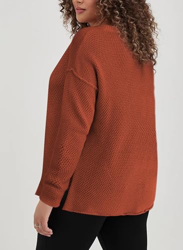 Image of Eytino Womens Plus Size Sweaters Casual Long Sleeve Loose V Neck Button Henley Tops Pullover Knit Jumpers,(1X-5X)