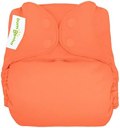 BumGenius Freetime All in One Cloth Diaper - Kiss - One Size - Snap