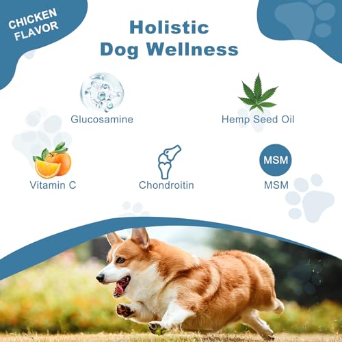 Joint Supplement for Dogs, Glucosamine Chondroitin for Dogs, Hip and Joint Support Supplement Chews Dogs Small Large Breed Dog Arthritis Pain Relief Joint Health Care Mobility Bites Treats for Dogs Joint Supplement for Dogs, Glucosamine Chondroitin for Dogs, Hip and Joint Support Supplement Chews Dogs Small Large Breed Dog Arthritis Pain Relief Joint Health Care Mobility Bites Treats for Dogs