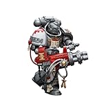 JoyToy Warhammer 40K Space Marine Genuine License 1/18 Grey Knights Strike Squad Grey Knight with Psilencer Action Figures