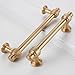 POVEFONK 10 Pack 5 inch Champagne Bronze Kitchen Cabinet Handles Cabinet Pulls Gold Drawer Pulls Kitchen Cabinet Hardware Handles Dresser Handles
