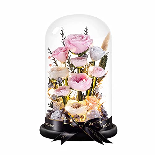 vU[uht[ KXh[ LO v[g o  lC KN sN  ͂Ȃ [X P[X bsOς bZ[WJ[h  FB j a  j ސEj JXj av[g ʉ 