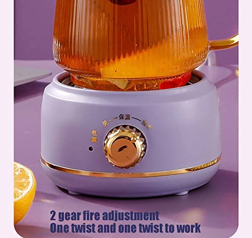 Tetera eléctrica de vidrio 600 ml con infusor miniatura 3