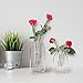 Hyindoor Glass Vases Set of 2 Metal Flower Planter Terrariums Plant Glass Clear Decorations for Living Room, Rose Gold