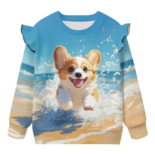 Toddler Girls Sweatshirts Size 1-8 Long Sleeve Crew Neck Sweatshirts Active Sportswear Tee Tops4