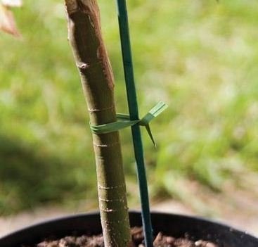 SpiderJuice 30M Multipurpose Twist Tie Roll for Hassle Free Gardening Tying Climbers Plants Organizing Cables Wires with Built in Cutter (Single Roll)