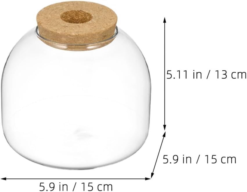 GANAZONO 2pcs Glass Landscape Bottle Stopper Stylish Glass Container for Moss Plants Decorative Tabletop Terrarium for Decor
