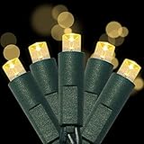UL Listed 50 Count 5MM Wide Angle Led Christmas Lights Set,Outdoor Mini Led String Lights for Garden Patio Trees Lighting Decorations,17 Feet Green Wire (Warm White)