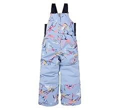 【新品】BURTON MS MAVEN BIB Burton Toddler Maven Bib Pants - PRFO Sports