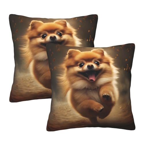 Xzyopcwx Pomeranian Dog 2 Pack Throw Pillow Covers Sofa Cushions Covers Living Room Bedroom Bed Covers Car Lumbar Covers 18x18 Inches