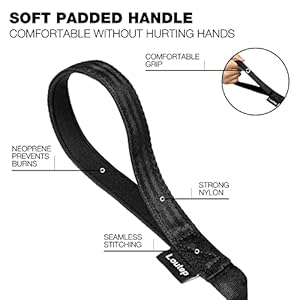 Dog training leash 15ft 20ft 30ft 50ft 100 feet  extra long leash for dogs with padded handle for small medium  large puppy breed outdoor obedience agility nylon recall line lead   cucciolini doodles