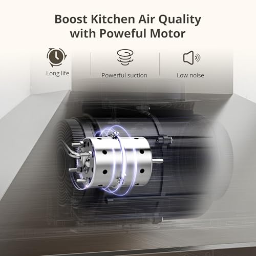 FIREGAS Range Hood 24 inch Wall Mount Type with Ducted/Ductless Convertible, 450 CFM Stainless Steel Chimney-Style Kitchen Hood, Over Stove Vent Hood with 3 Speed Fan, Charcoal Filters