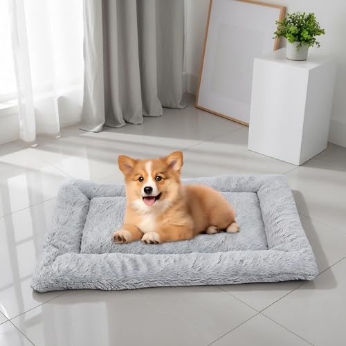 BUKLUKE Hundebett Flauschig, 55 x 75 cm Hundebett Waschbare Hundematte, Hundekissen Flauschig mit rutschfeste Unterseite für Dog Cat Pets, Größe: M (Grau)