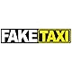 2 x Aufkleber Faketaxi 13x2,7cm Funsticker Fake Taxi Driver Fun Aufkleber Hologramm Oilslick Sticker für Auto Motorrad Bus Wohnwagen Kfz Zubehör R103 (Normal)