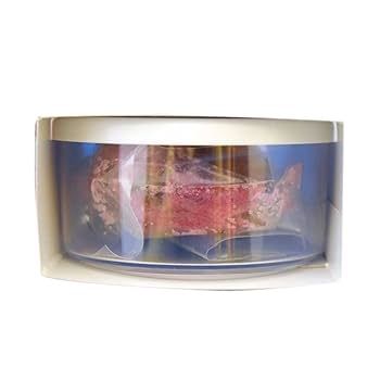 桜茶/:*ページ imgrc0094033475.jpg