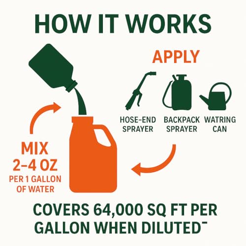 GS Plant Foods Green Envy Liquid Lawn Food – Fall & Winter Lawn Prep Fertilizer for Strong Roots and Resilient Grass, Suitable for Organic Growing (1 Gallon)