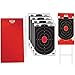Birchwood Casey Dirty Bird Targets - Sharpshooter