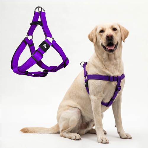 Kruz No Pull Dog Harness (Chest 26”-38”, Weight 44-88 lbs) Heavy-Duty Pet Harness for Large Breeds, Ultra-Comfort Fit, Lifetime Durability, Adjustable Dog Harness No Pull Design (Amethyst, Large)