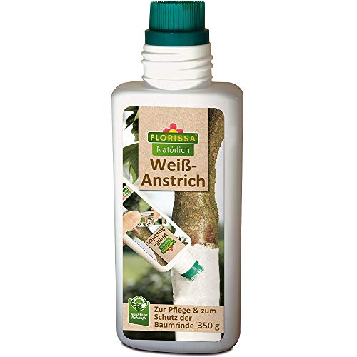 Florissa Natürlich Weißanstrich | natürliche Rohstoffe | Rindenschutz zum Weißen und Pflegen von Bäumen und Sträuchern | 350g Pinselflasche