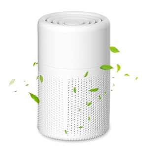 Luftreiniger für Allergiker mit H13 HEPA Filter, 37dB Ultra Leise, Air Purifier gegen Rauch, Staub, Pollen & Tierhaare, Tragbarer Raumluftreiniger mit Aromatherapie für Zuhause & Schlafzimmer