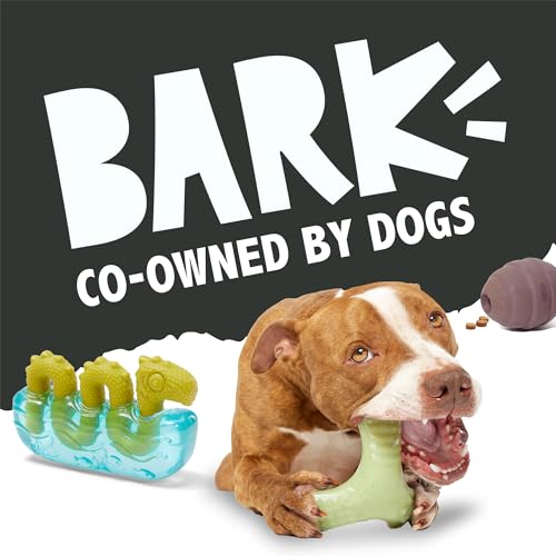 Image of BarkBox Sven the Hedgie Rubber Dog Toy - Toy for Small Dogs | Squeaky Natural Rubber Chew Toy with Soft Spike Textures | Durable