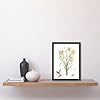 Artery8 Five Daffodils Vintage Illustration By Johan Teyler Framed Wall Art Print A4 : Springtime cluster study artwork with gentle light; fresh accent for hallway or living room #1