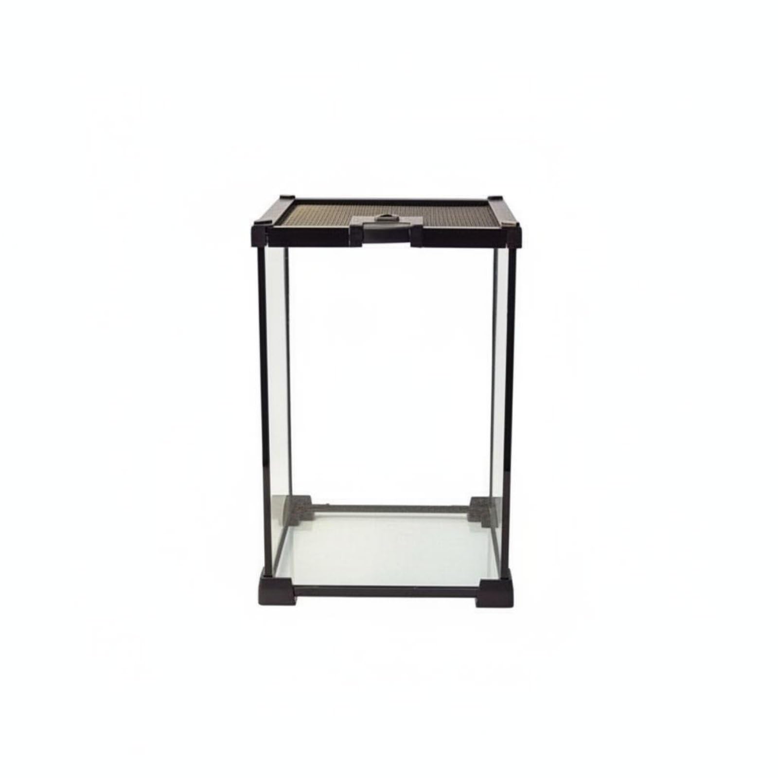 B Baosity Terrario para Reptiles de Cristal Tanque Panorámico con Malla Extraíble Estructura Compacta Fácil Limpieza Adecuado para Principiantes Aficionados y Mascotas Exóticas, 20x20x30cm