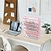 EASEPRES 6 Tier Mesh Hanging Wall File Organizer, Desk Vertical Mail Paper Document Folder Holder Rack with Bottom Tray and Nametag Label for Office Home School, Pink