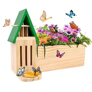 Rgj Butterfly House 3-in-1 Schmetterlingsstation