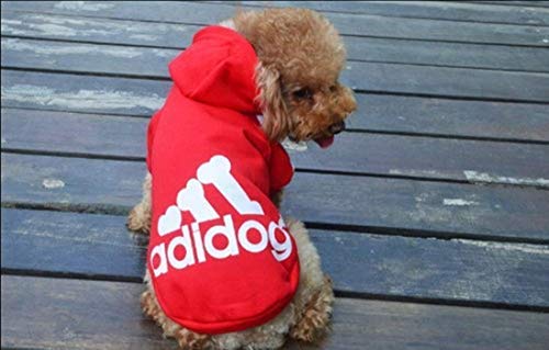 Moolecole Pet Sports Apparel Cat & Dog Cold Weather Coats Dog Hoodies Pet Sweaters (L, Red)