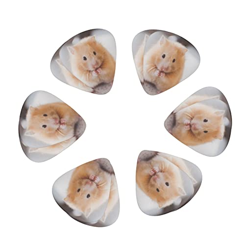 Lot de 3 médiators en celluloïd coloré pour guitare basse, amateurs de musique, joueurs de guitare, guitares électriques et acoustiques avec 0,46 mm, 0,71 mm, 0,96 mm – Maroon Hamster - Les Beatles, Paul McCartney, John Lennon, RIngo Starr, George Harrison Lot de 3 médiators en celluloïd coloré pour guitare basse, amateurs de musique, joueurs de guitare, guitares électriques et acoustiques avec 0,46 mm, 0,71 mm, 0,96 mm - Maroon Hamster – Image 3