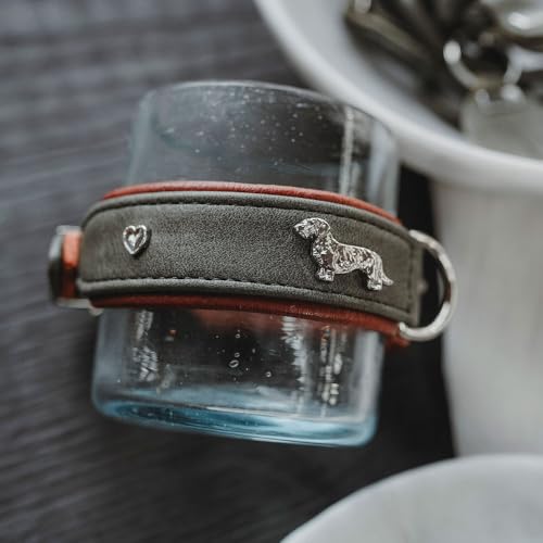 Hunter Teckel-Halsband MÜNCHEN, Farbe: Cognac/schwarz, Leder, edle Dackel-Besätze, weich und robust, fellschonend, luxuriös, ökologisch hergestellt, nachhaltig, Made in Germany, Größe: 37