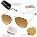 SOJOS Classic Aviator Sunglasses for Women Men Metal Frame Spring Hinges SJ1030, Gold/Brown