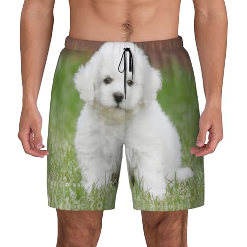 Maillot de bain homme imprimé bichon frisé pour vos vacances à la plage