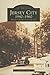 Jersey City 1940-1960:   The  Dan  McNulty  Collection  (NJ)   (Images  of  America)