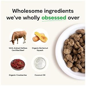 Open Farm Freeze Dried Uncooked Canine Meals Humanely Raised Meat Recipe with Nongmo Superfoods and No Synthetic Flavors or Preservatives 35 Ounce pack of 1 Grass Fed Beef Recipe  Cucciolini Doodles Open farm freeze dried uncooked canine meals humanely raised meat recipe with non gmo superfoods and no synthetic flavors or preservatives 3 5 ounce pack of 1 grass fed beef recipe   cucciolini doodles