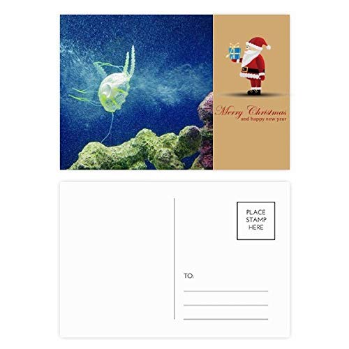 Cartes postales méduses Ocean pour correspondance et décoration créative