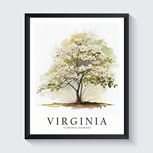 Virginia State Tree Art Print, Virginia Poster Wall Art Decor, Virginia State Map Travel Poster, Home Office Wall Decoration, Bedroom, Living Room Artwork. (Virginia B, 11X14 Inches (Unframed)) #TOP25