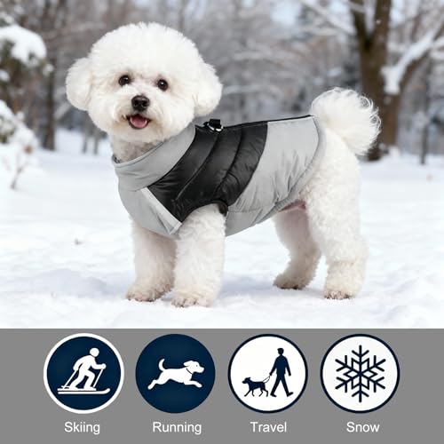 Veste pour chiens coupe-vent et imperméable avec double attache en D - 3