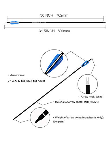Pandarus Archery 30Inch Carbon Practice Hunting Arrows With Removable For Youth Compound & Recurve Bow Target (Pack Of 12) #TOP4