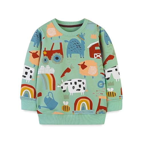 Boys Sweatshirts Casual Sweatshirts Cotton Sweatshirts Long Sleeve T-shirts Crew Neck Cartoon Tops for Boys-407