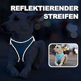 haapaw Hundegeschirr und Leine Set, kein Ziehen, verstellbares, reflektierendes Step-in-Welpengeschirr mit Dicker, gepolsterter Weste für extra kleine/kleine mittelgroße Hunde