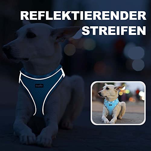 haapaw Hundegeschirr und Leine Set, kein Ziehen, verstellbares, reflektierendes Step-in-Welpengeschirr mit Dicker, gepolsterter Weste für extra kleine/kleine mittelgroße Hunde