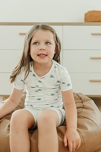 Copper Pearl Two Piece Short Sleeve Toddler Pajamas PJ Sets for Boys and Girls - Adorable Pattern Summer Pajamas Shorts to Keep Cool While Sleeping, Size 12 Months to 5T - Dream4