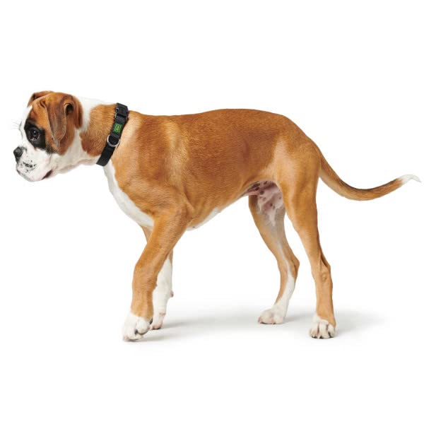 HUNTER VARIO BASIC Hundehalsung, Hundehalsband, robust, geschmeidig, Klickverschluss, M/1,5, orange