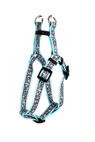 Image of Yellow Dog Design Chantilly Teal Step-in Dog Harness 3 /4 inch Wide and Fits Chest Circumference of 9 to 15 inch, Small