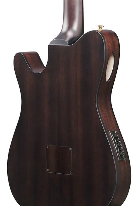 Ibanez FRH20FMN DGL エレガット FRH20FMN | FRH | ACOUSTIC GUITARS | PRODUCTS | Ibanez guitars