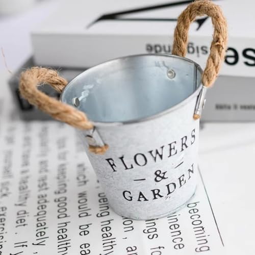 Seaux de fleurs en fer pour plantes succulentes (5 pièces) - 3
