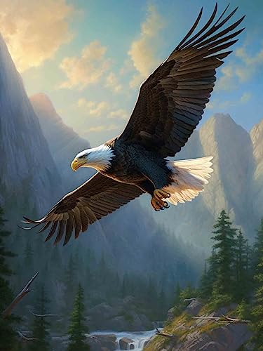 Pavemlo 5D Diamond Art Kits for Adults Soaring Eagle, Full Drill Diamond Art Animals Pictures Paint with Diamonds, DIY Cross Stitch Jewel Art Rhinestone Craft for Home Wall Decor 12X16 inch